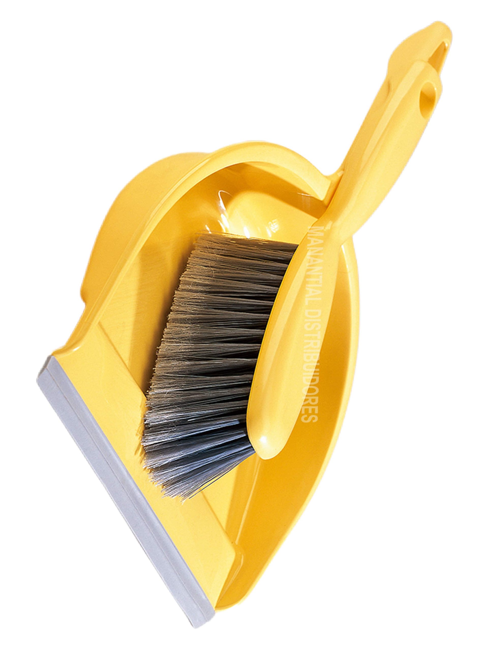 SET RECOGEDOR + CEPILLO